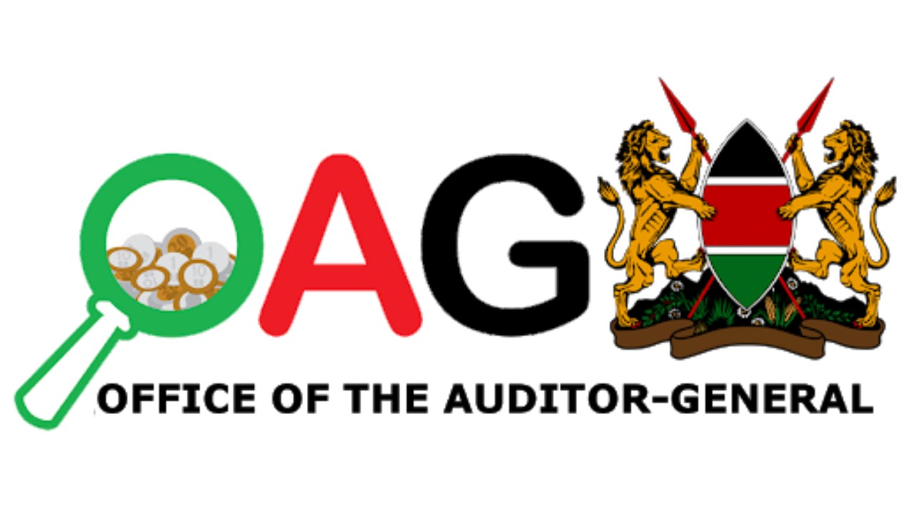 AUDITOR GENERAL REPORTS
